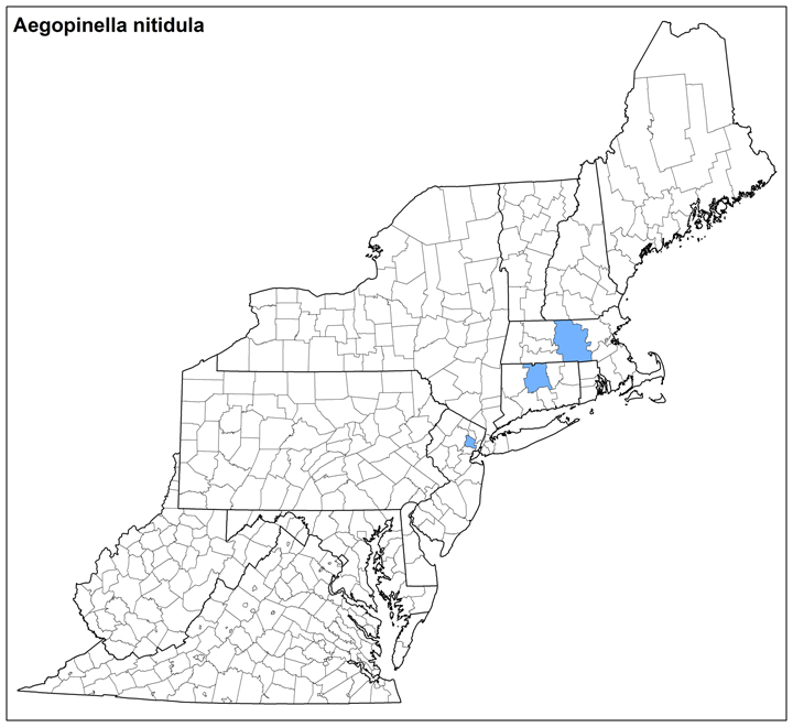 Aegopinella nitidula  Range Map